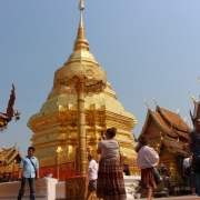 ONE DAY ARM OFFERING TO MONKS & DOI SUTHEP TEMPLE , ELEPHANT SAFARI AND LONGNECK HILLTRIBE